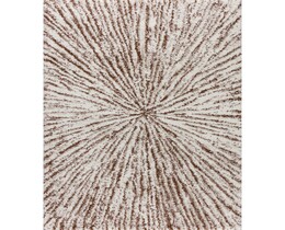 Covor moliciune crem/maro 160x230cm